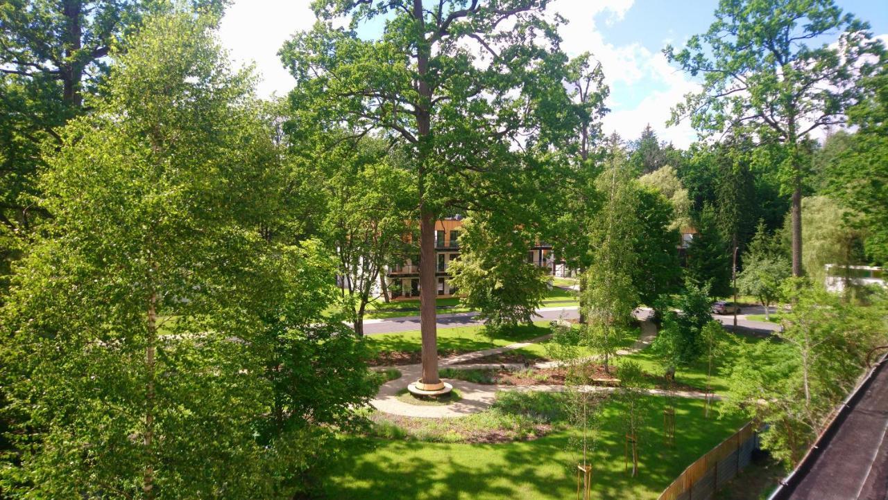 Enklawa Bialowieska Forest & Spa Hajnówka Esterno foto